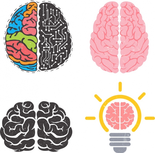 cervello icone color design varie forme di raccolta.