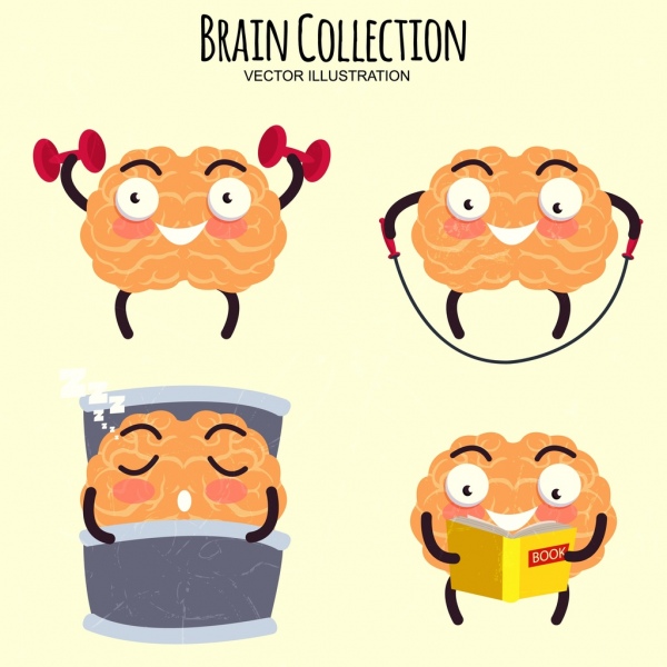 Brain Icons Collection Funny Stylized Design-vector Icon-free Vector Free  Download