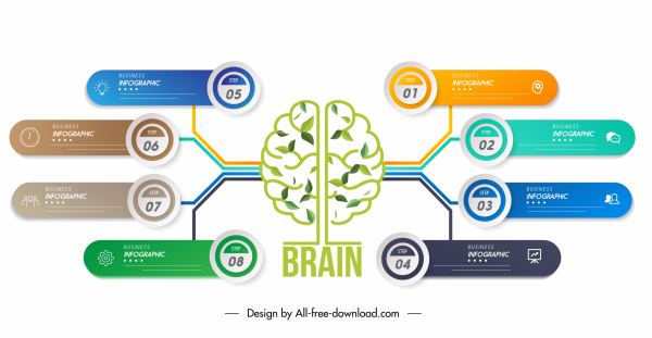 Gehirn Infografik Vorlage bunte flache moderne Symmetrie