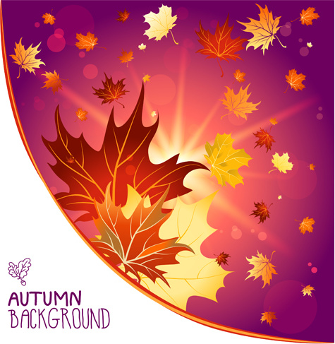 brilhante Outono folha set vector backgrounds