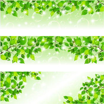 バブルとツリーの葉のベクトルの背景
