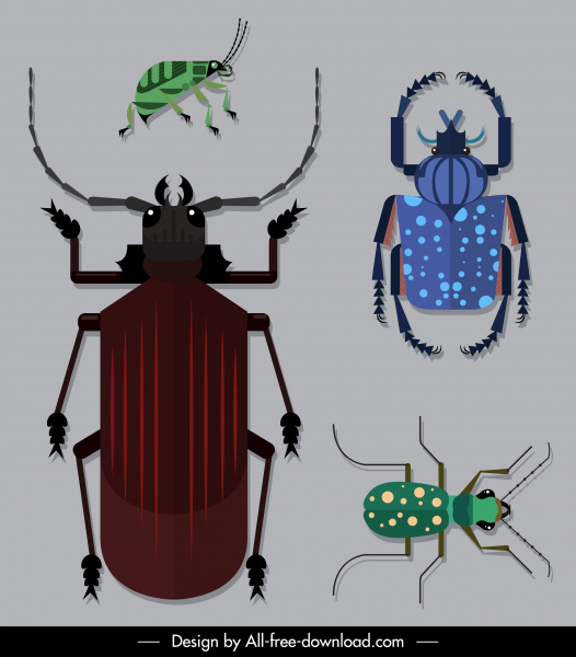 Käfer Insekten Arten Symbole farbige flache Skizze