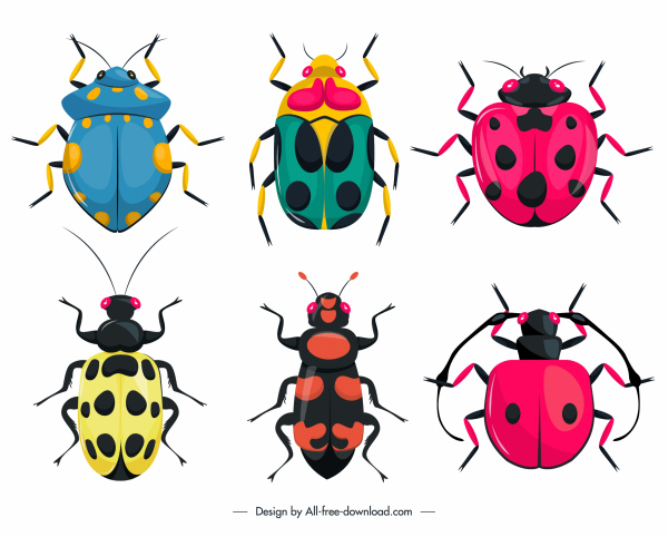 insectos criaturas iconos colorido diseño simétrico plano