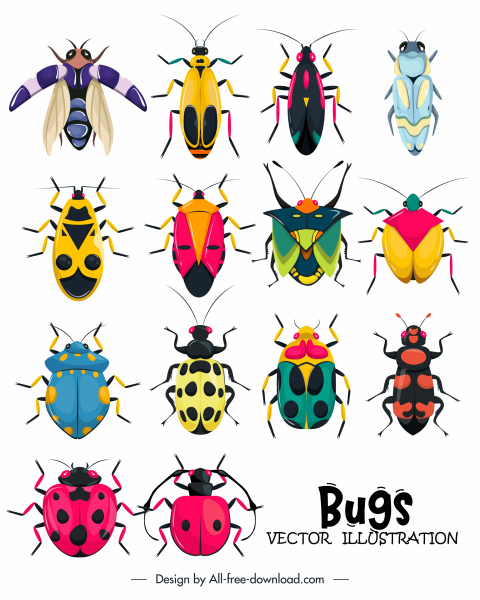 แมลงแมลงไอคอนที่มีสีสันการออกแบบสมมาตร