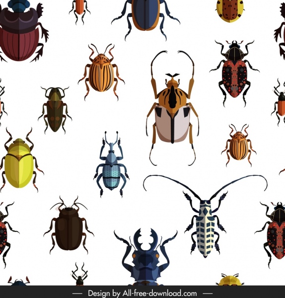 insectes, modèle, espèces, icônes, décor, design coloré