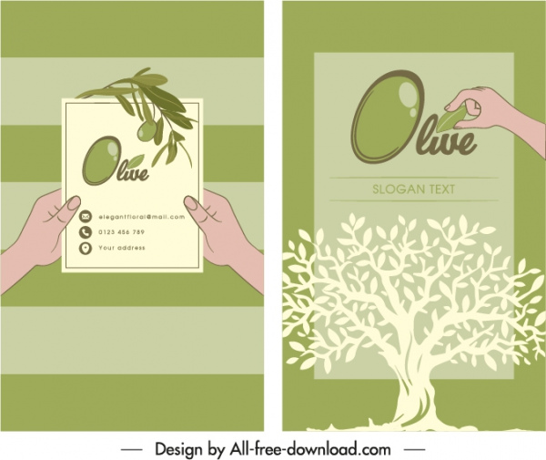 tarjeta de visita plantilla de olivo árbol bosquejo plano clásico