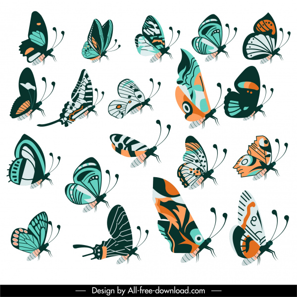 蝴蝶生物图标收集丰富多彩的古典平面设计