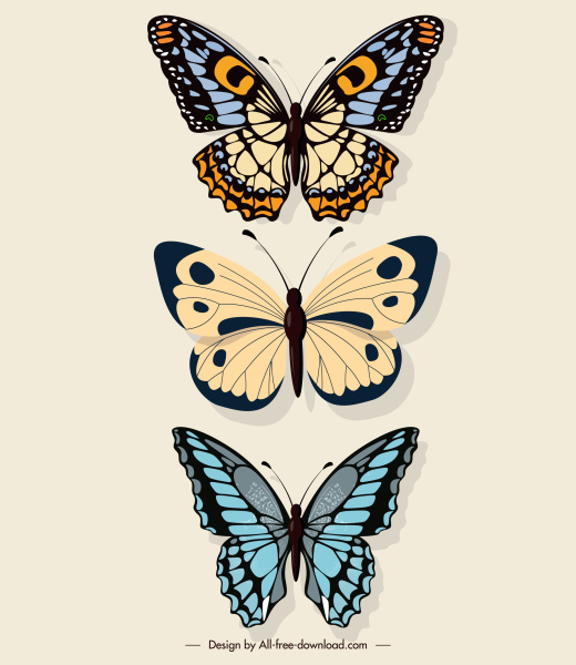elemen dekorasi kupu-kupu desain simetris berwarna datar