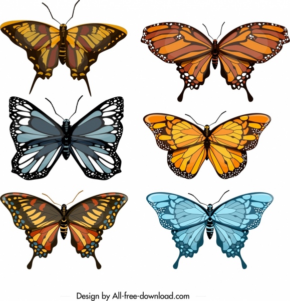 design moderno colorido de ícones coleção de borboletas