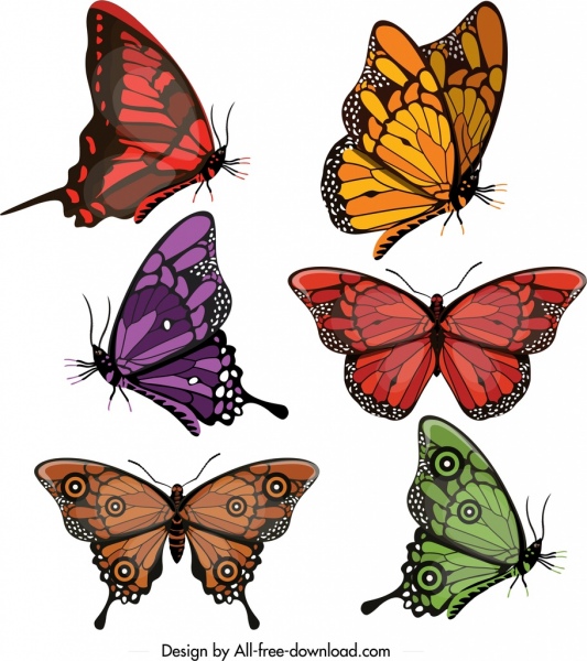 Kelebekler simgeler koleksiyonu çok renkli modern tasarım şekilleri