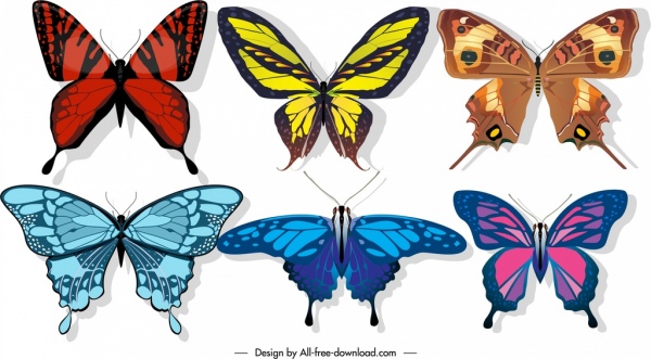 mariposas iconos alas coloridas decoración