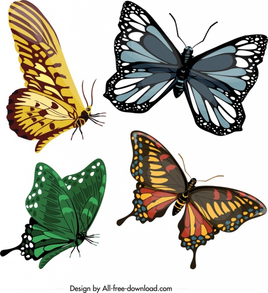 Ikonen-Vorlagen, die bunte modernen Formen skizzieren Schmetterlinge
