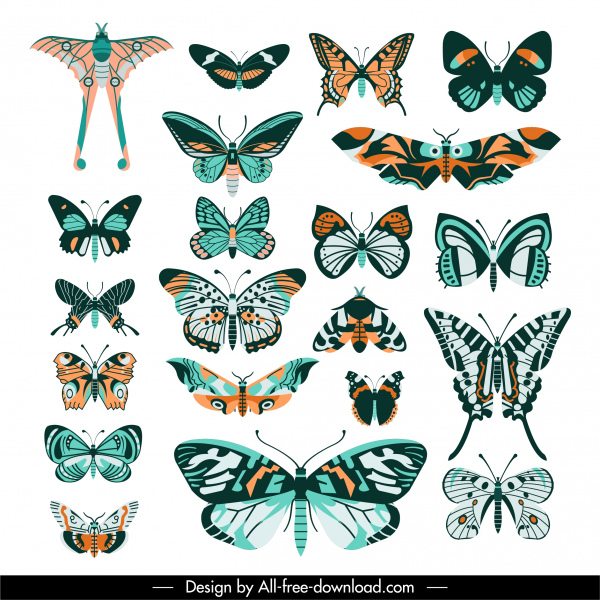蝶の種コレクションカラフルな対称フラットデザイン