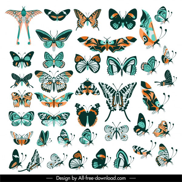 Schmetterlinge Arten Ikonen Sammlung bunte klassische flache Design