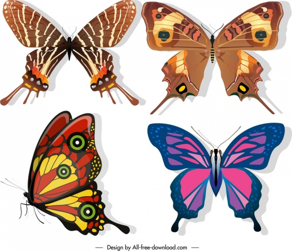 Schmetterlinge Spezies Icons dunkle bunte Skizze