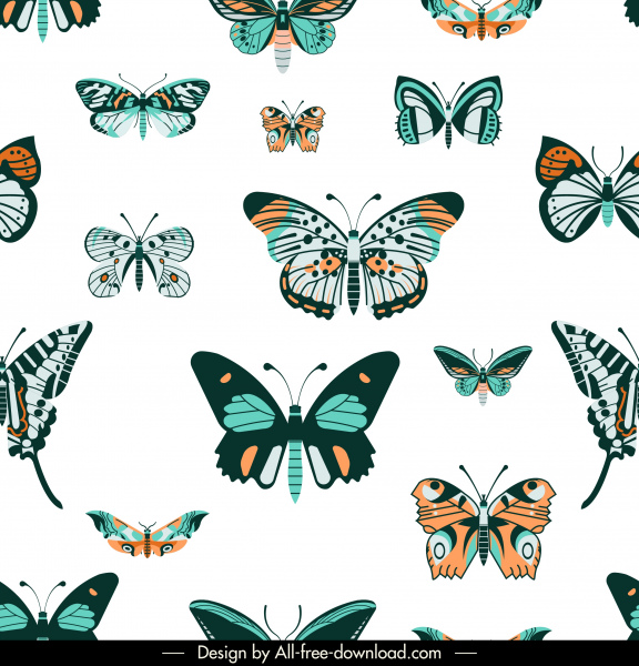 蝴蝶物種模式五顏六色的平面裝飾