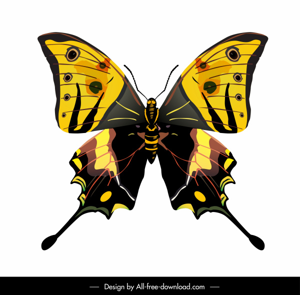 kupu-kupu ikon berwarna-warni modern datar simetris sketsa