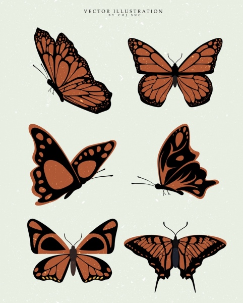 Colección de iconos de diseño mariposa marrón de diferentes formas