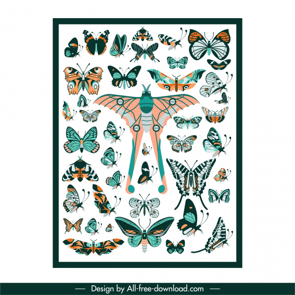 蝶のアイコンコレクションカラフルな平らな対称形状