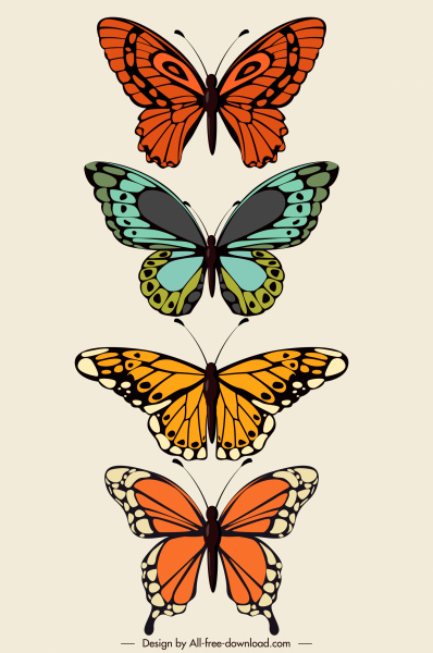 ícones borboleta colorido esboço simétrico plano