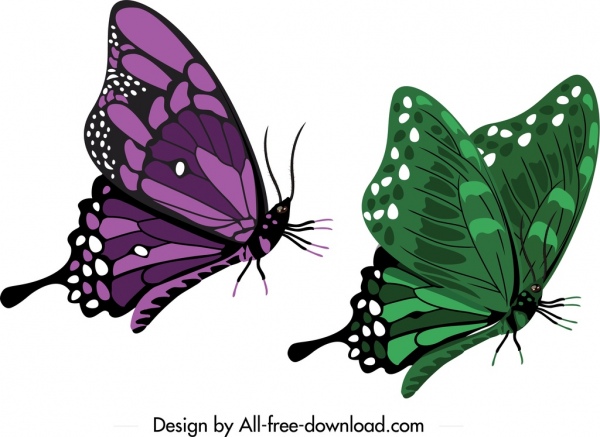 icônes de papillon vert foncé violet croquis modèle de maquette de conception