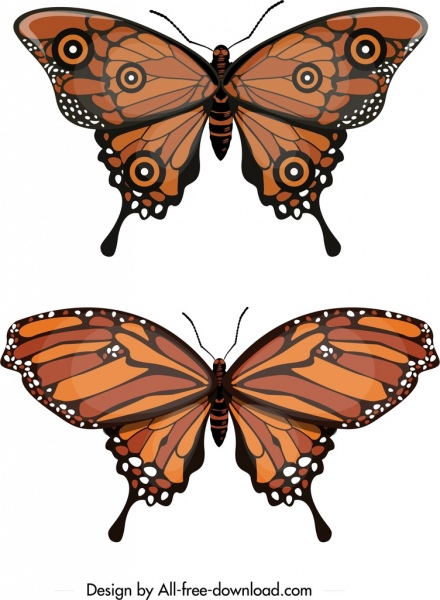 iconos de mariposas boceto marrón moderno