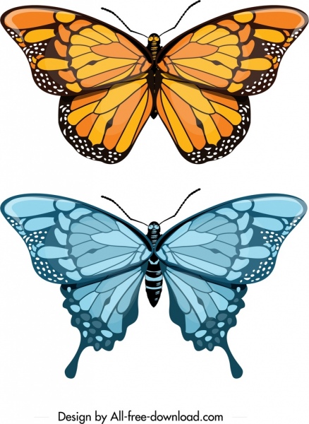 蝶のアイコン黄色の青い装飾モダンなデザイン