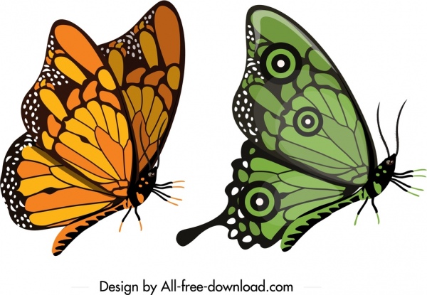 papillon icônes croquis vert jaune