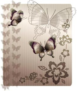 Butterfly Pattern Brochure Title Page Design Vector
