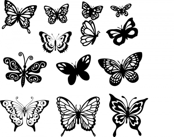 farfalla set libero cdr vettori arte