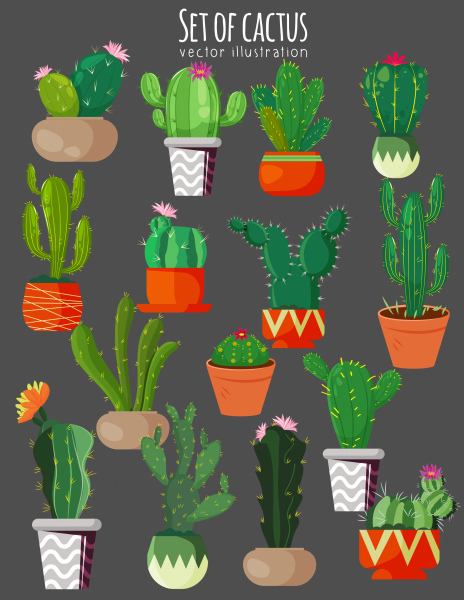 koleksi ikon kaktus berwarna sketsa klasik datar