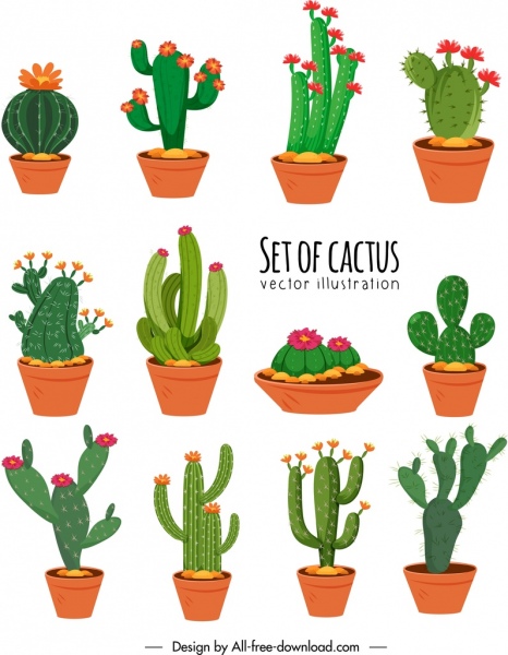 Koleksi ikon kaktus desain klasik berwarna-warni