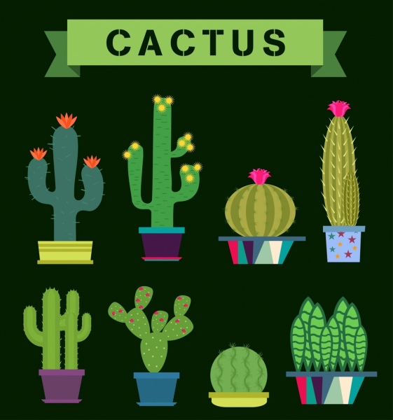 Kaktus-Symbolsammlung grün verschiedene
