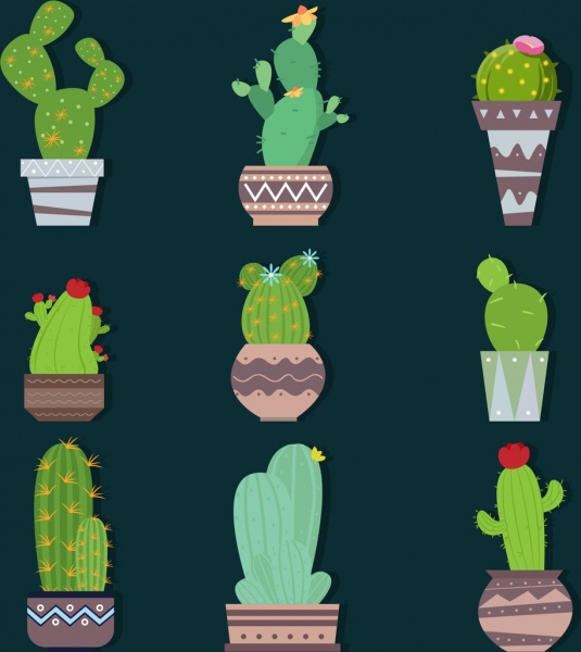 collecte de divers types de vert cactus isolé des icônes