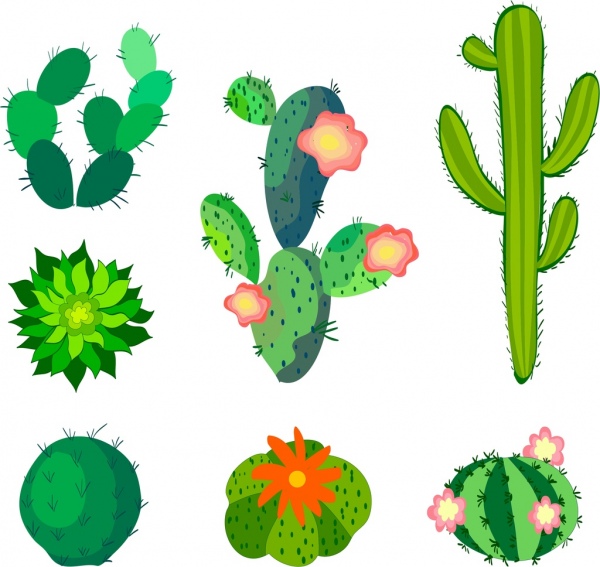 Kaktus ikon koleksi berbagai jenis hijau sketsa