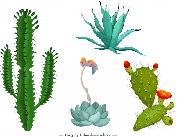 Kaktus ikon template warna-warni bentuk desain
