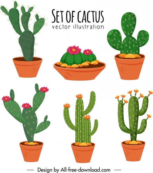 cactus pots ícones colorido design clássico