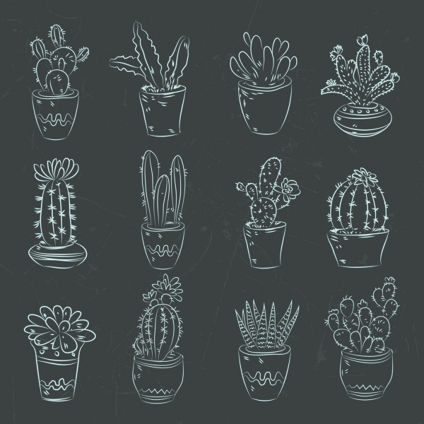 cactus pentole icone oscuro disegno handdrawn decorazione