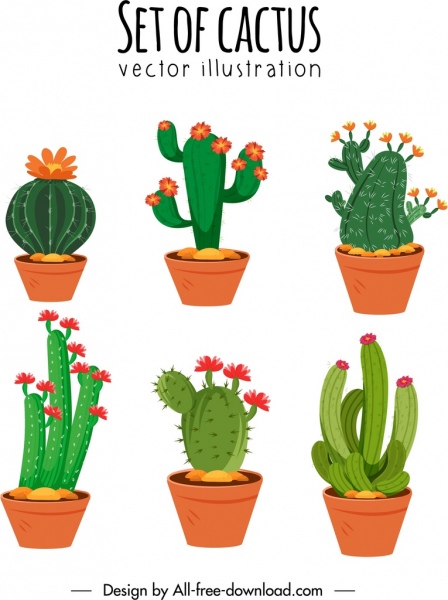 cactus pots ícones flora formas espinhosas esboço