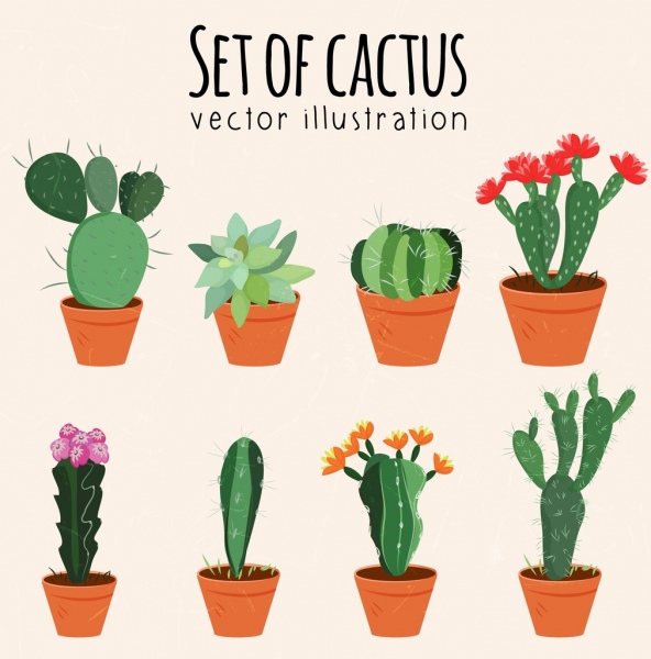 Kaktus pot ikon berbagai jenis warna-warni isolasi