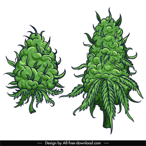 iconos de árbol de cannabis verde clásico dibujado a mano formas