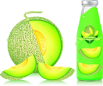 Cantaloupe Drinks With Packing Vector 5