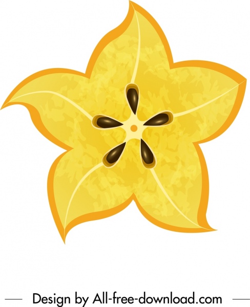 carambola 아이콘 플랫 노란색 클로즈업 슬라이스 스케치