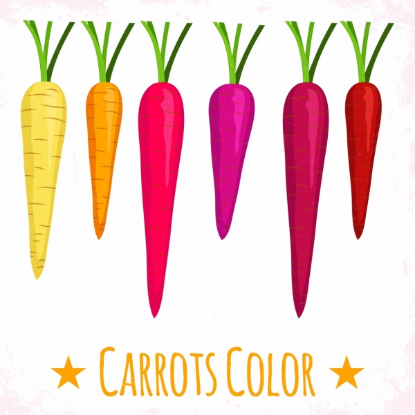 croquis de conception handdrawn icônes colorées carotte contexte