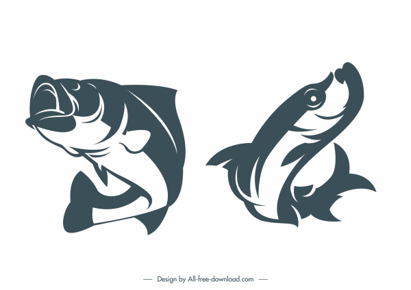 icônes d’espèces de poissons-chats conception classique handdrawn dynamique
