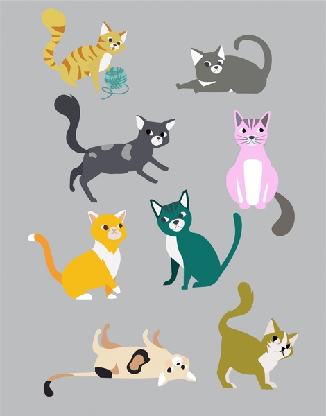kedi koleksiyonu ile çeşitli renk stilleri