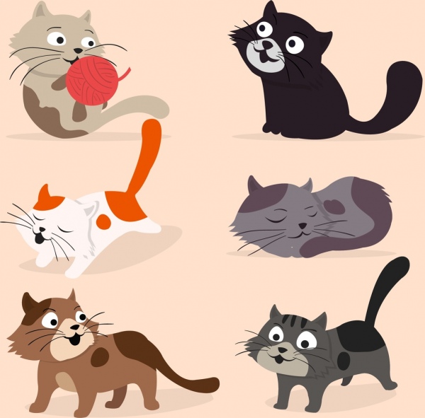 القطط مجموعة ايقونات تصميم الرسوم المتحركة الملونة