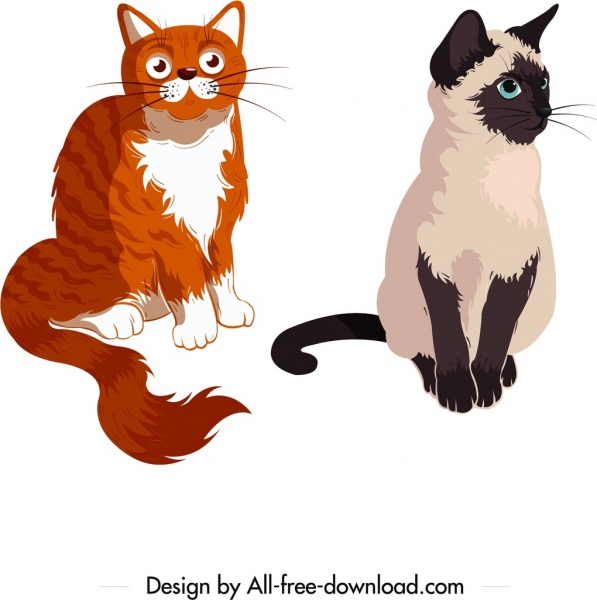 iconos de gatos, personajes de dibujos animados de colores