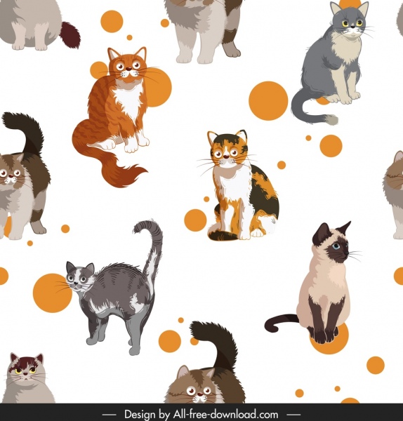 kucing pola warna-warni spesies dekorasi
