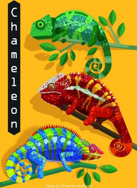 iconos camaleón sánguidos diseño de rama plana decoración colorida
